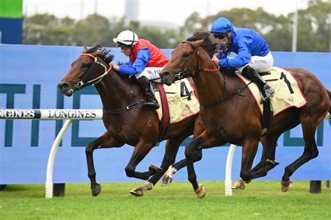 Rosehill Guineas Tips, Odds & Preview .